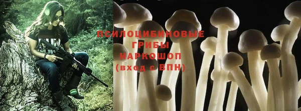 гашик Краснотурьинск