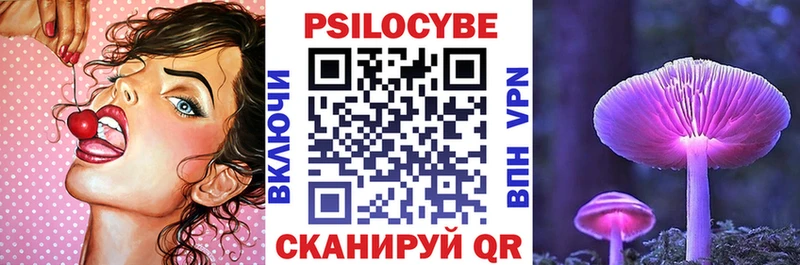 Купить  Кораблино  Галлюциногенные грибы Psilocybe 
