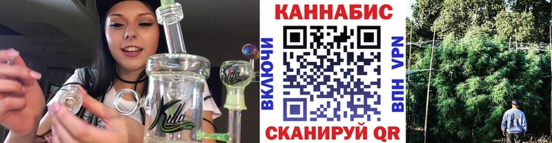 Купить где  Кораблино  Конопля индика 